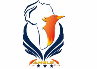 logo Africa New Generation Leaders (ANGLE)