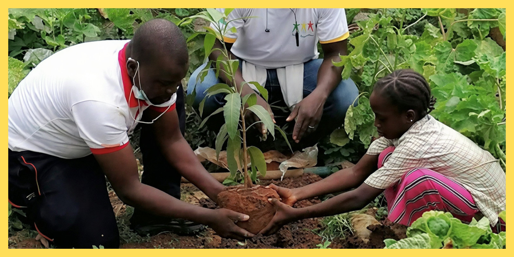 Reforestation © Souleymane Ouédraogo